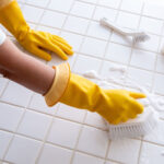 Nihai temizlik aracı için üç dolarlık ağaç ürününü birleştirin