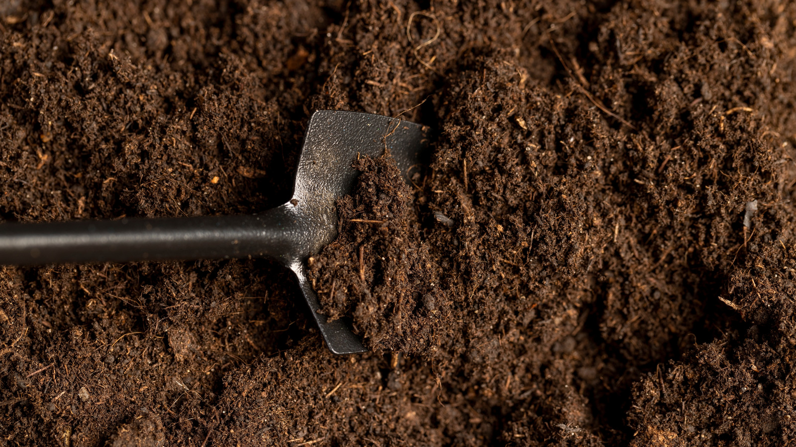 Bahçe toprağını canlandırmanın eski moda yolları (ve bugün nasıl yapılır)