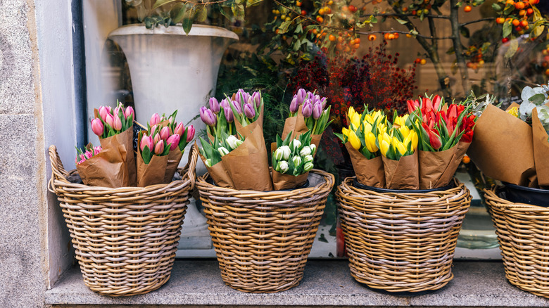 Dışarıda satılacak sepetlerde oturan laleler.