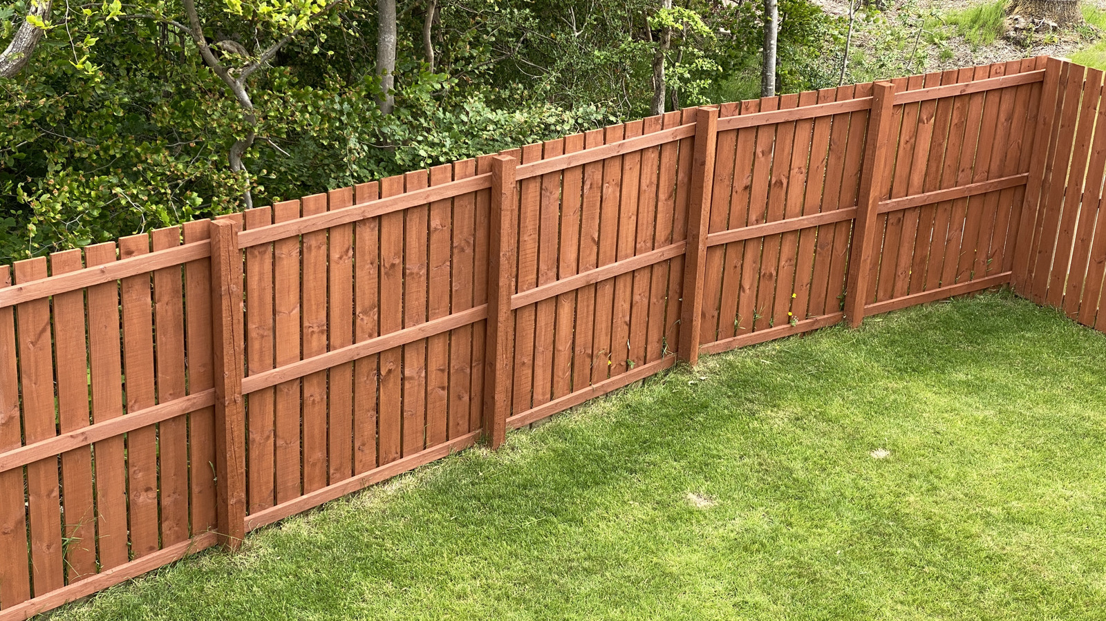 Betonsuz 6x8 ahşap panelli bir çit inşa edin