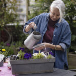 Hummingbirds'in sevdiği bir yaz çiçeği ile verandınıza güzel çiçekler getirin