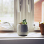 Bu basit iletişim kağıdı hack ile pencere çıkıntılarınızı yükseltin