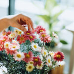 Bu Bloom Oda Tasarım Tweaks ile Bitkilerinizi Pop Yapın