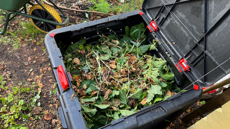 Bir bahçede büyük bir organik kompost kovası.