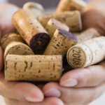 Neden kompost yığınınıza artık şarap mantarları eklemeye başlamalısınız?