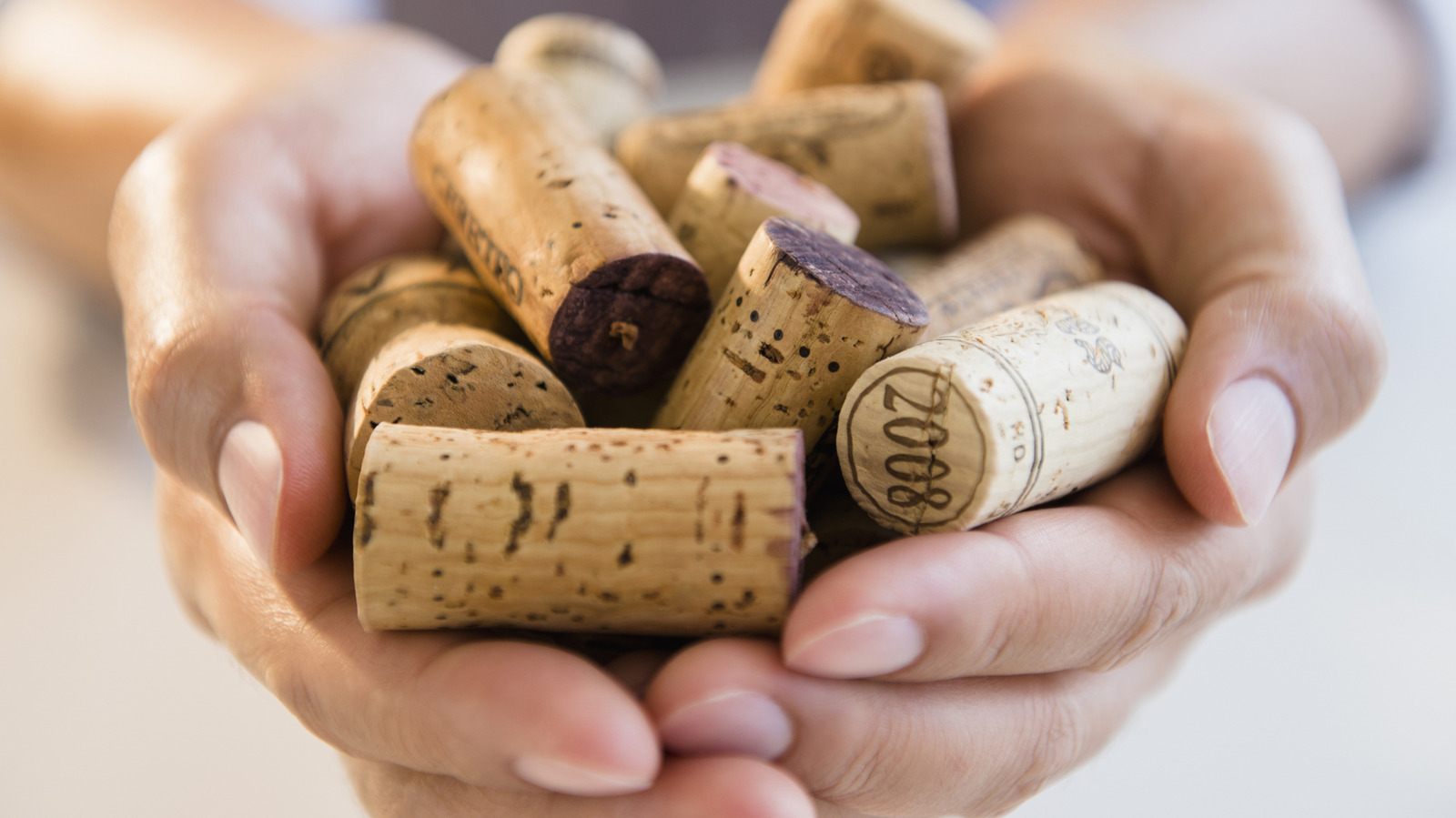 Neden kompost yığınınıza artık şarap mantarları eklemeye başlamalısınız?