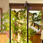 Akıllı bir Gardyn yatırımınıza değer mi? İşte alışveriş yapanların söylediği şey