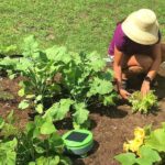 Tertill Garden Weding Robot gerçekten satın almaya değer mi? İşte incelemeler ne diyor