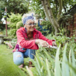 Nostalji bahçecilik trendiyle bahçenizi daha duygusal hissettirin