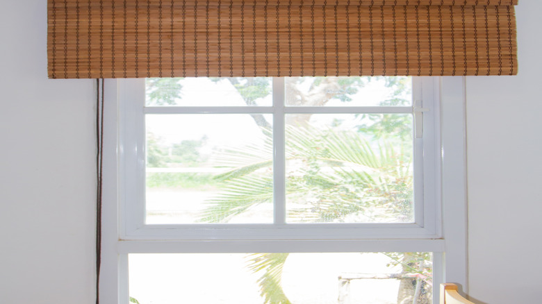 Penceredeki astarlı bambu tonları ışığı ve pozlamayı etkili bir şekilde engelleyen