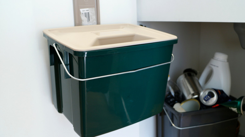 Mutfaktaki lavabonun altında duvara monte edilmiş bir kompost kutusu