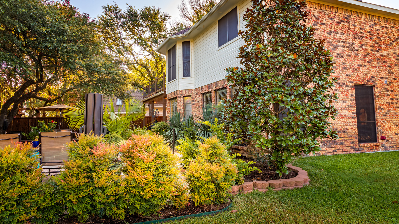 Teksas'ta büyüyebileceğiniz en dayanıklı, ısıya toleranslı bitkilerden 11'i