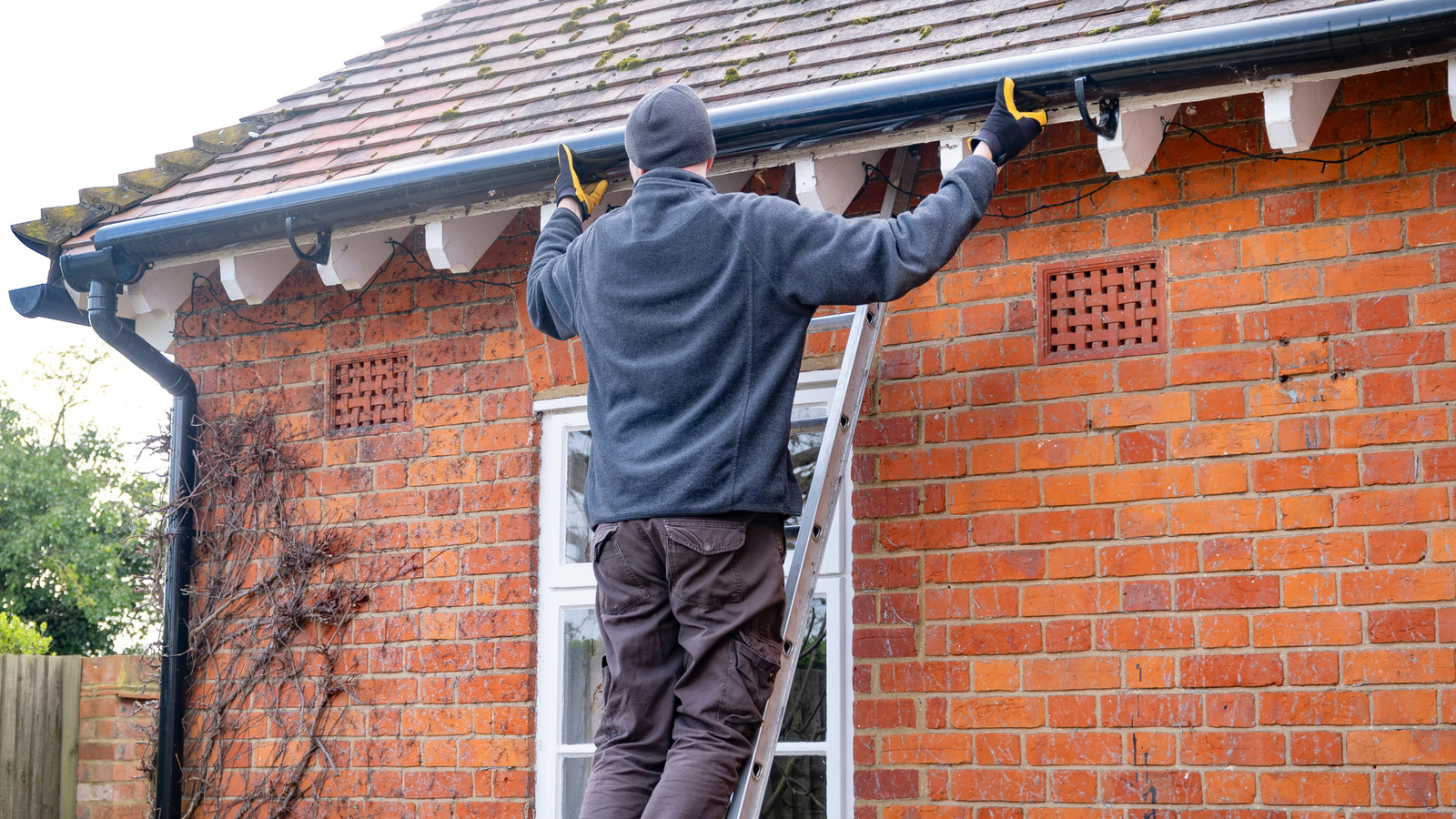 Bir dahaki sefere oluklarınızı temizlediğinizde denemek isteyeceğiniz kullanışlı havuz şehriye hack