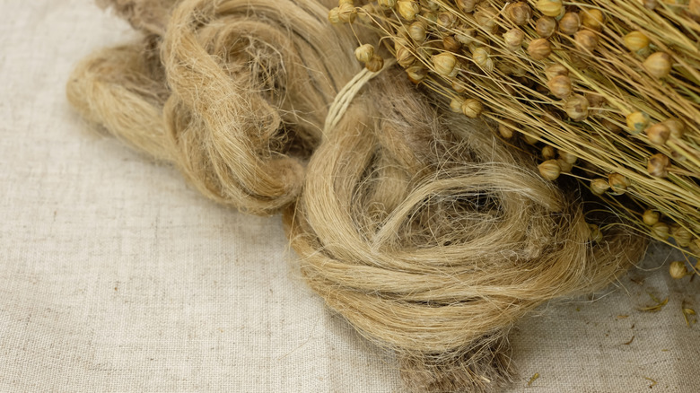 Keten kumaşın üstünde keten lifler ve kapsüller