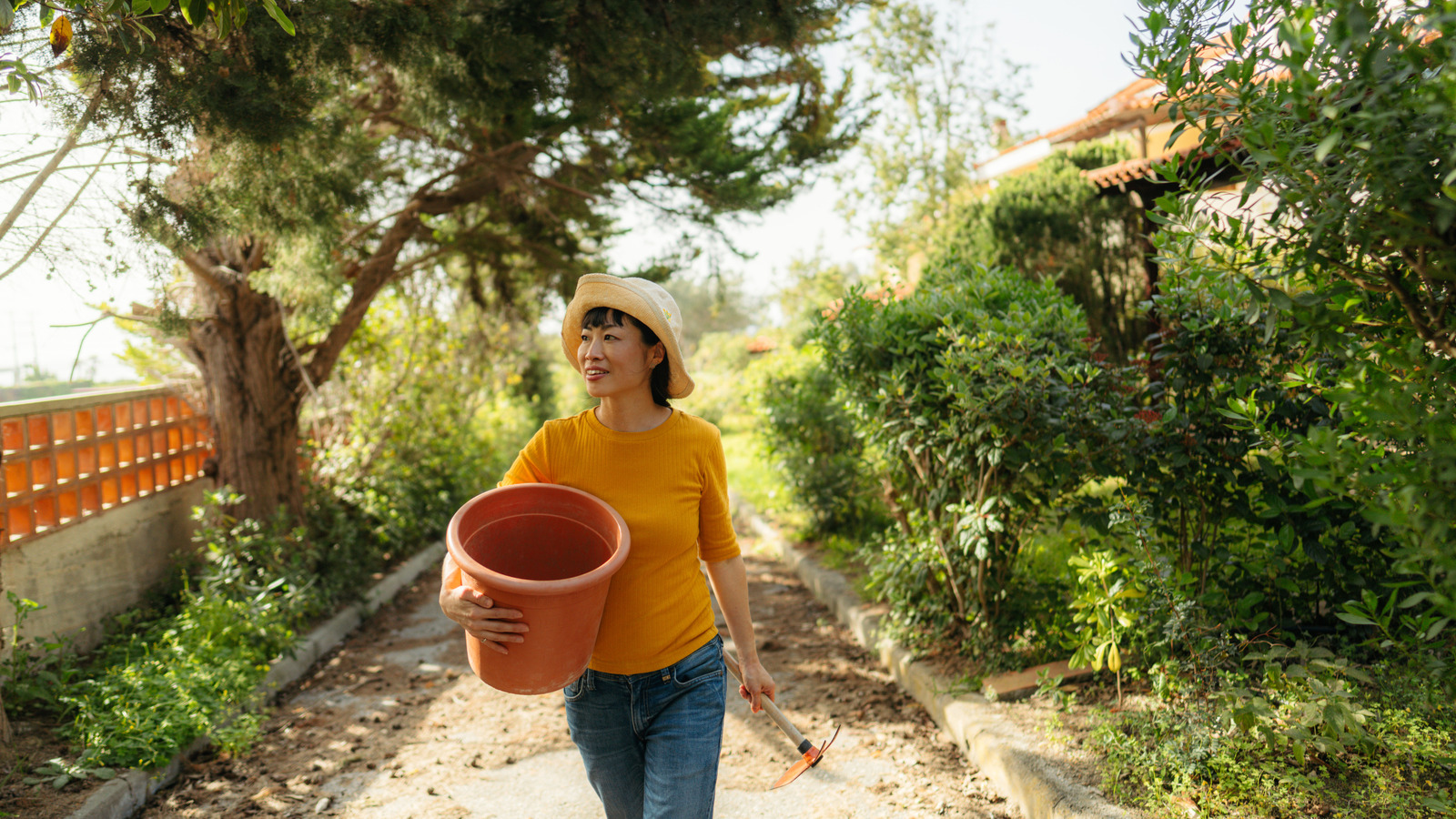 Arka bahçenizde yaşayan yaban hayatı için bir kova göleti nasıl DIY
