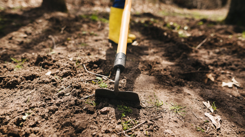 Kir yamada çapa kullanan kişi