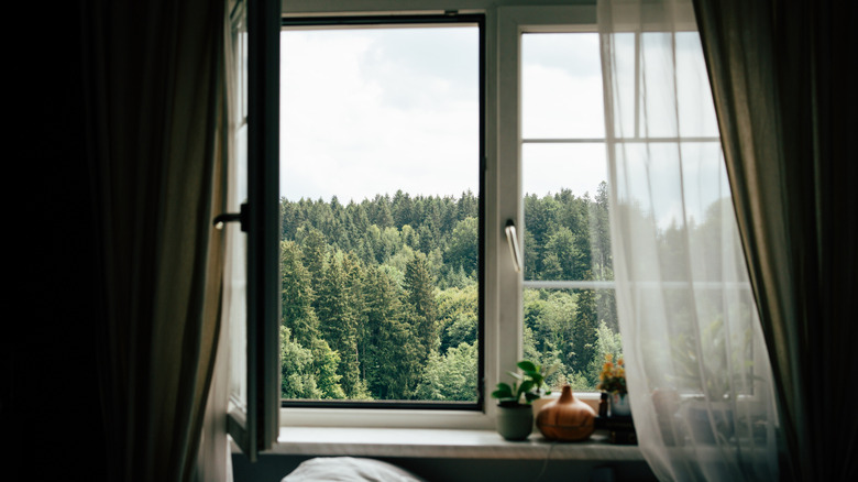 Keten perdeli bir pencereden ağaç üstlerinin görünümü