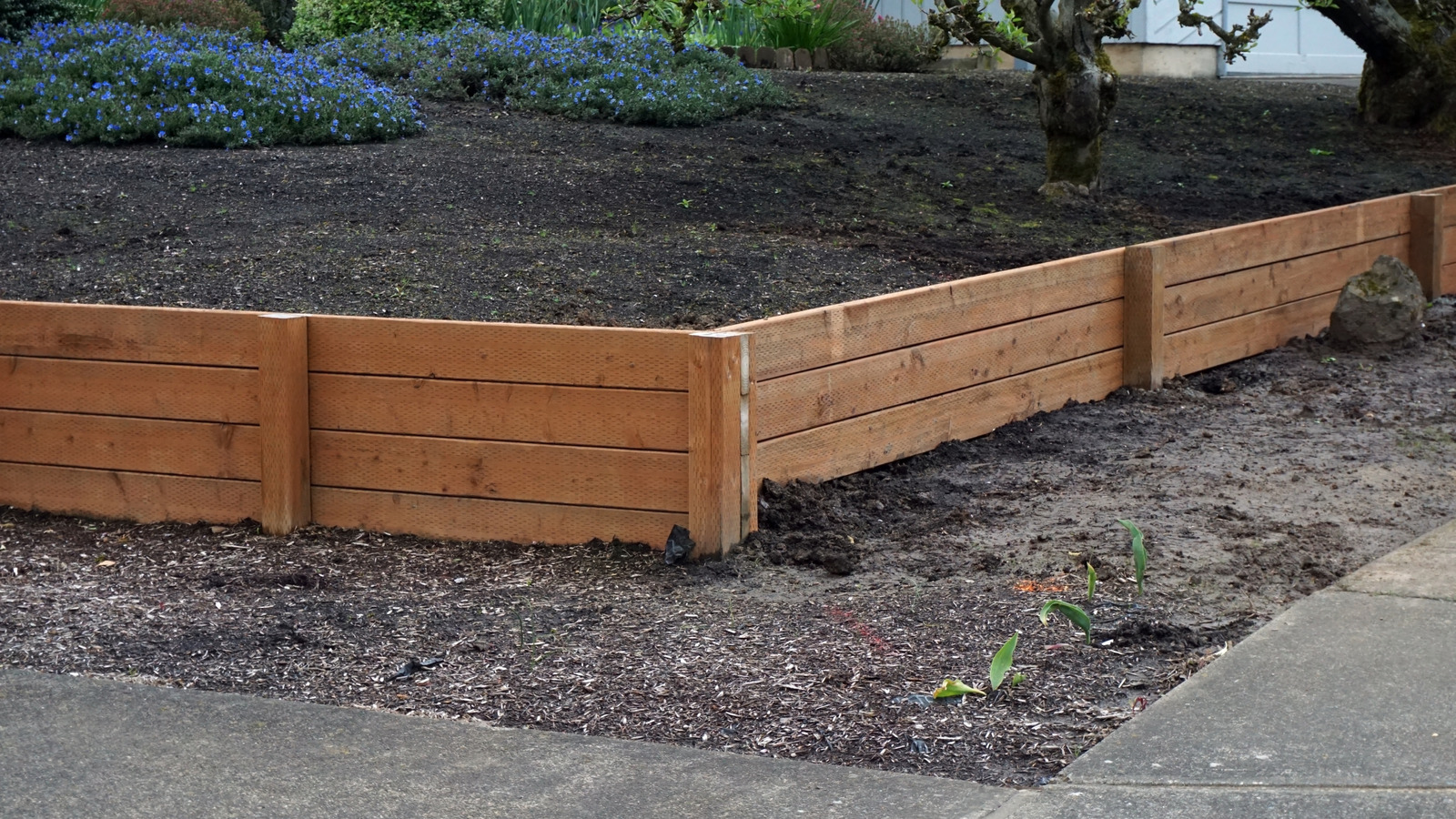 Doğal erozyon kontrolü sunan düşük bakım gerektiren zemin örtüsü