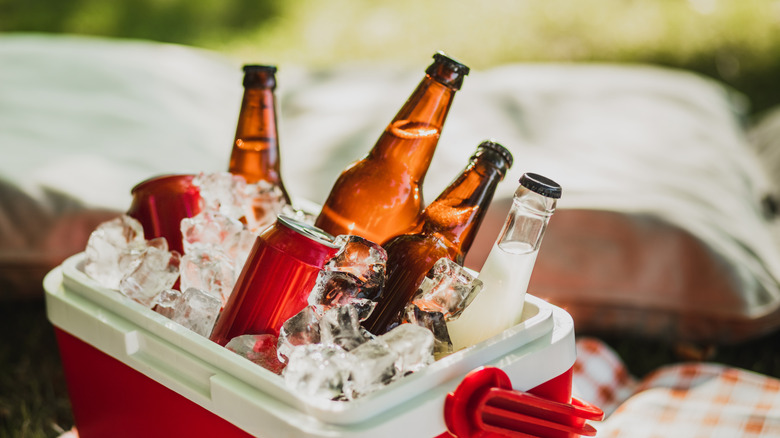 Buz ve çeşitli içeceklerle dolu küçük kırmızı soğutucu