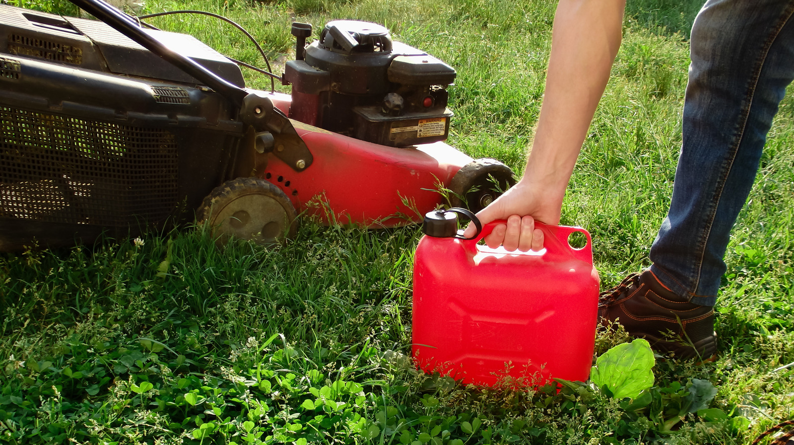 Bir çim biçme makinesine premium gaz koyarsanız ne olur?