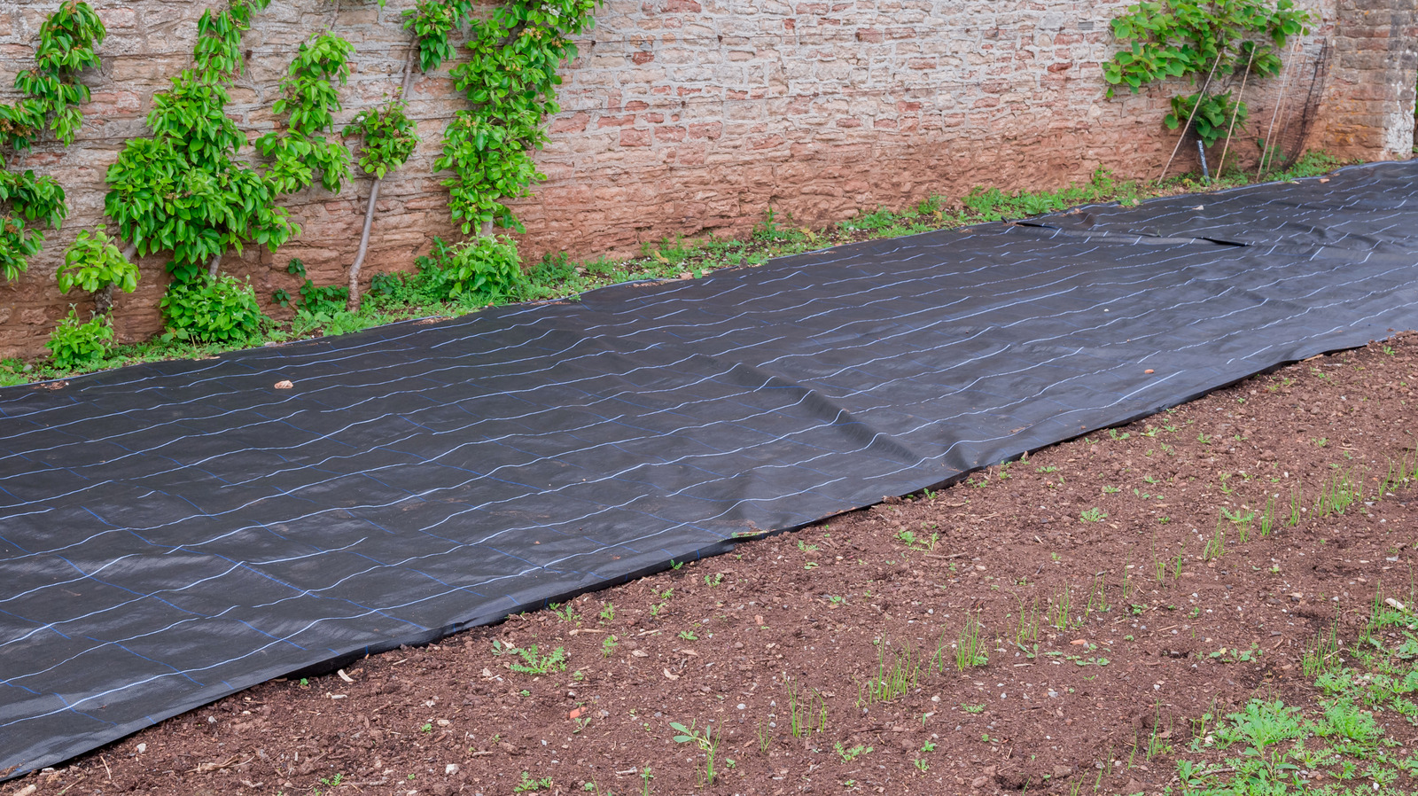 Peyzaj kumaşını atlayın ve bunun yerine bu alternatifi kullanın