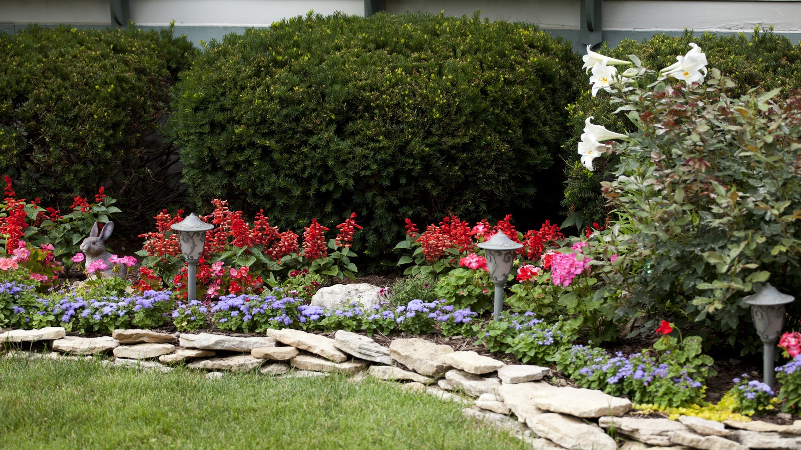 Sinir bozucu yabani otları uzak tutmak için ekmeniz gereken güzel çiçekli zemin örtüsü