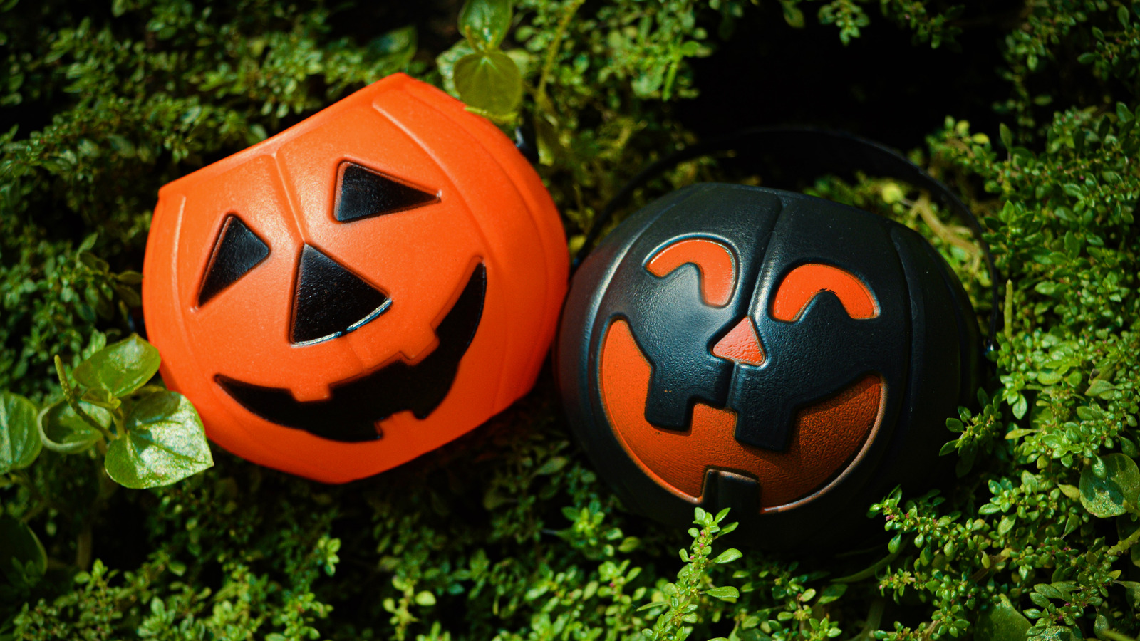 Basit bir DIY ile Pumpkin Dekoru Arasında Mükemmel Yaz Yapın