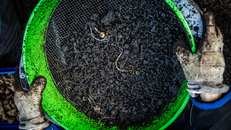 Kompost, altta bir ağ ızgarası ile yeşil bir kapta elenir.