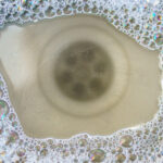 Bir tahliyeyi açmanın en kolay yolu zaten banyo dolabınızda