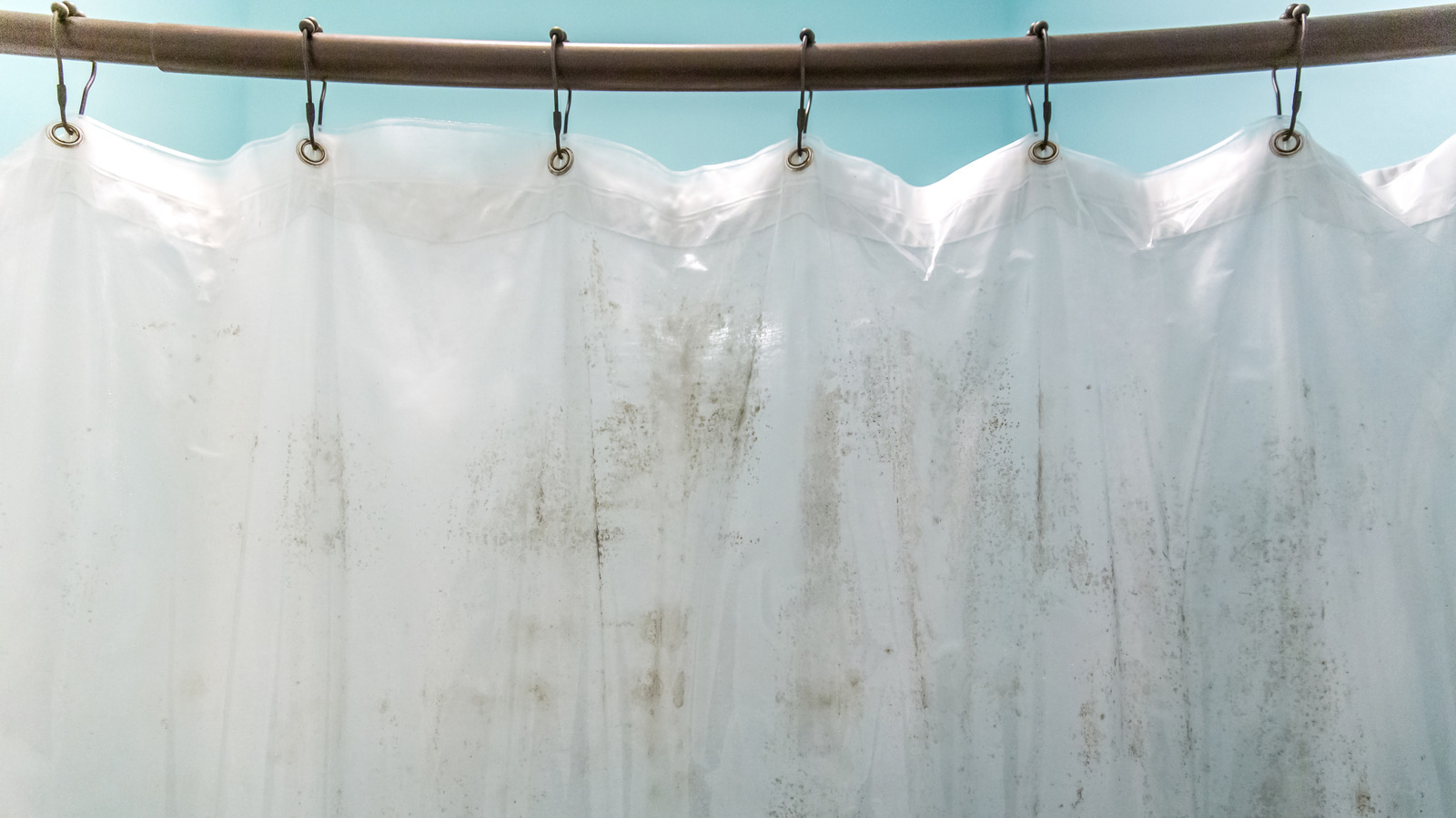 Plastik bir duş perdesi nasıl temizlenir ve yeni bir tane satın almaktan kaçınılır