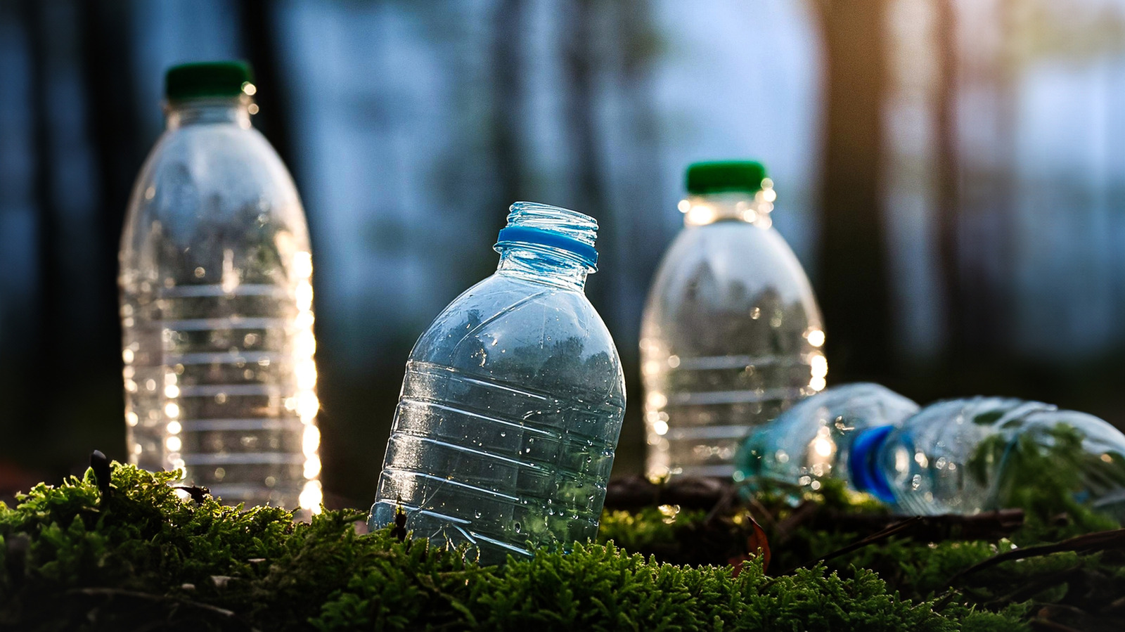 Eski su şişelerini atmayın: Bu büyük saksı problemini çözmek için onları yeniden kullanın