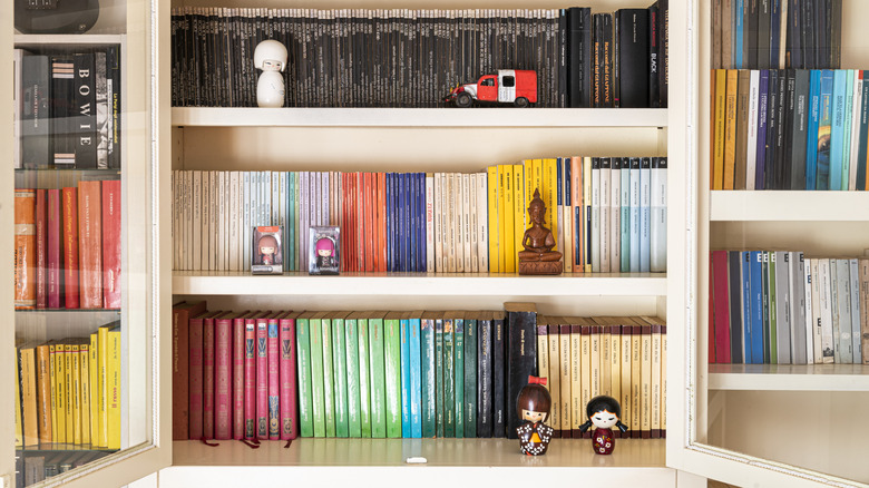 Kitaplar Rengi Bir Kitaplıkta Koordinasyon