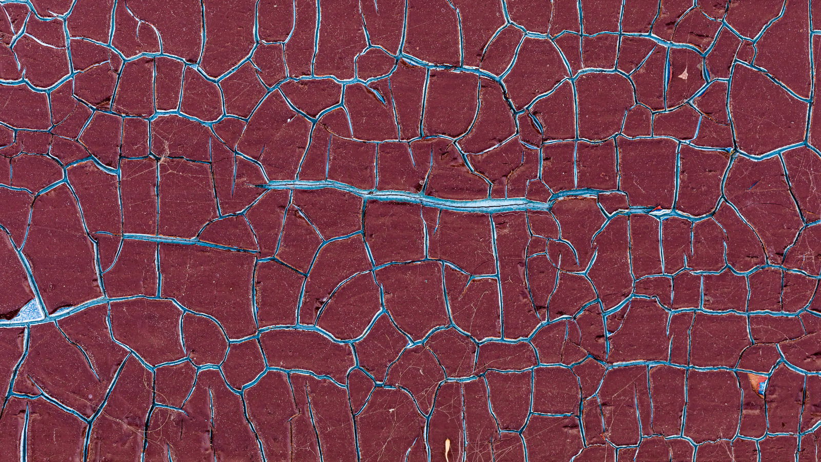 Boya 'timsahlarınız' (ve yaz aylarında olması daha olası mı?)