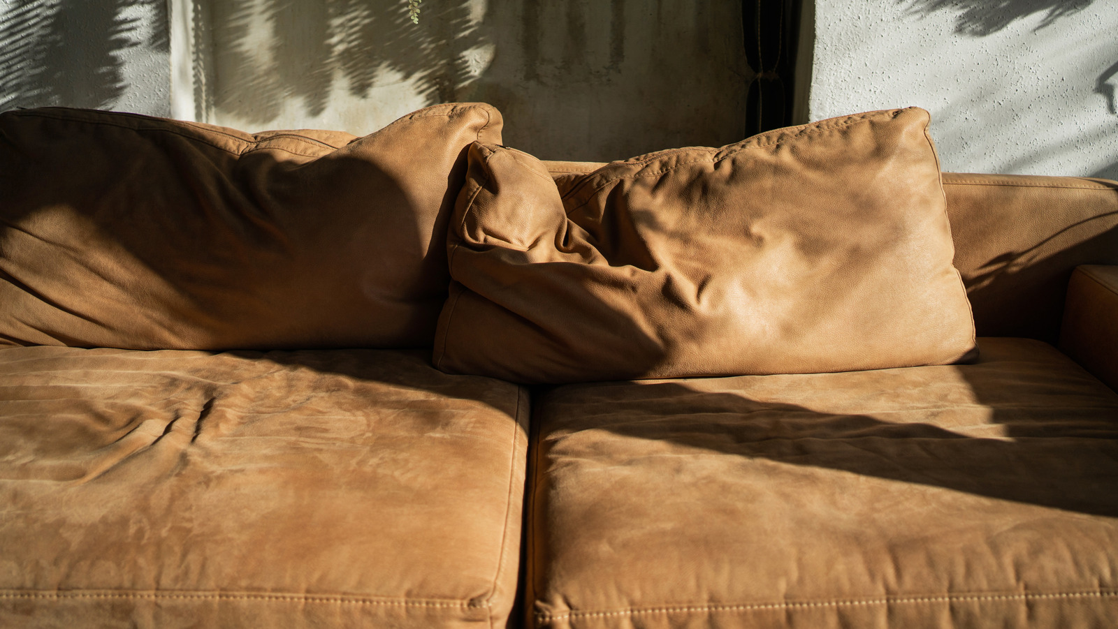 Bu havuz şehriye hack onları canlandırabildiğinde yıpranmış kanepe yastıklarını atmayın