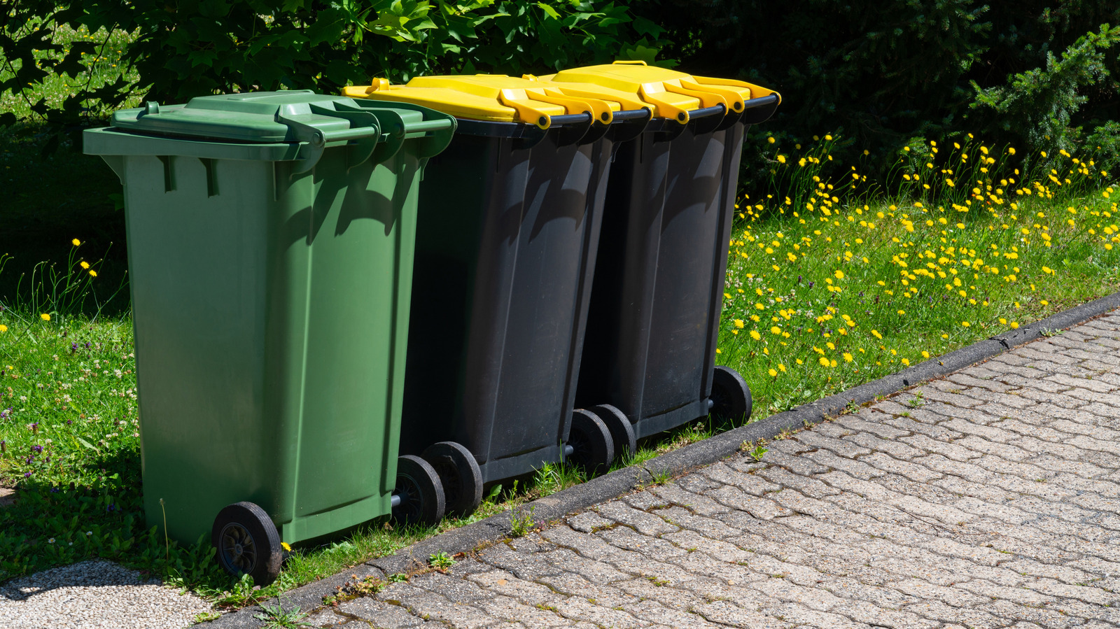 Üst düzey görünen bir DIY ahşap çitle bahçenizdeki çöp kutularını gizleyin