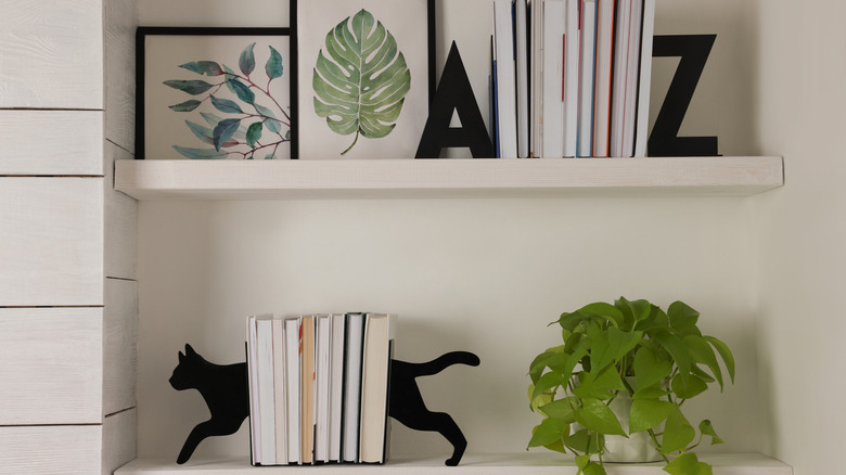 Bir kitaplıktaki kitap aylıları