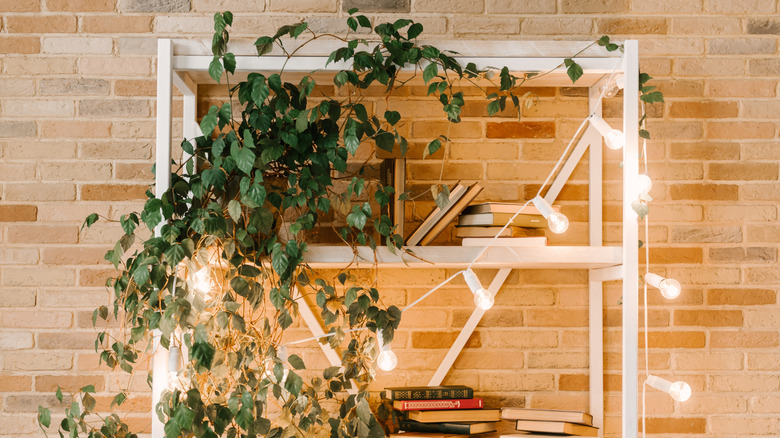 Dize ışıkları ile kitaplık