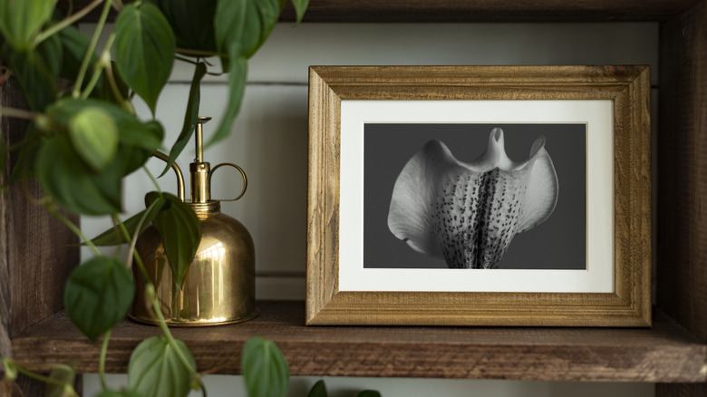 Ekranda sanat eseri olan kitaplık