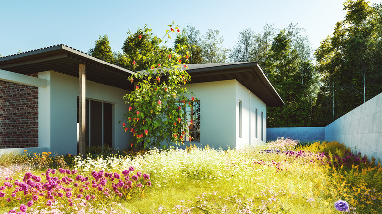 Kır çiçeği dikimleri ile dolu avlu