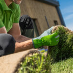 Denver yerlilerinin Colorado'nun Çim Değiştirme Programı ve Teşvikleri hakkında bilmesi gerekenler