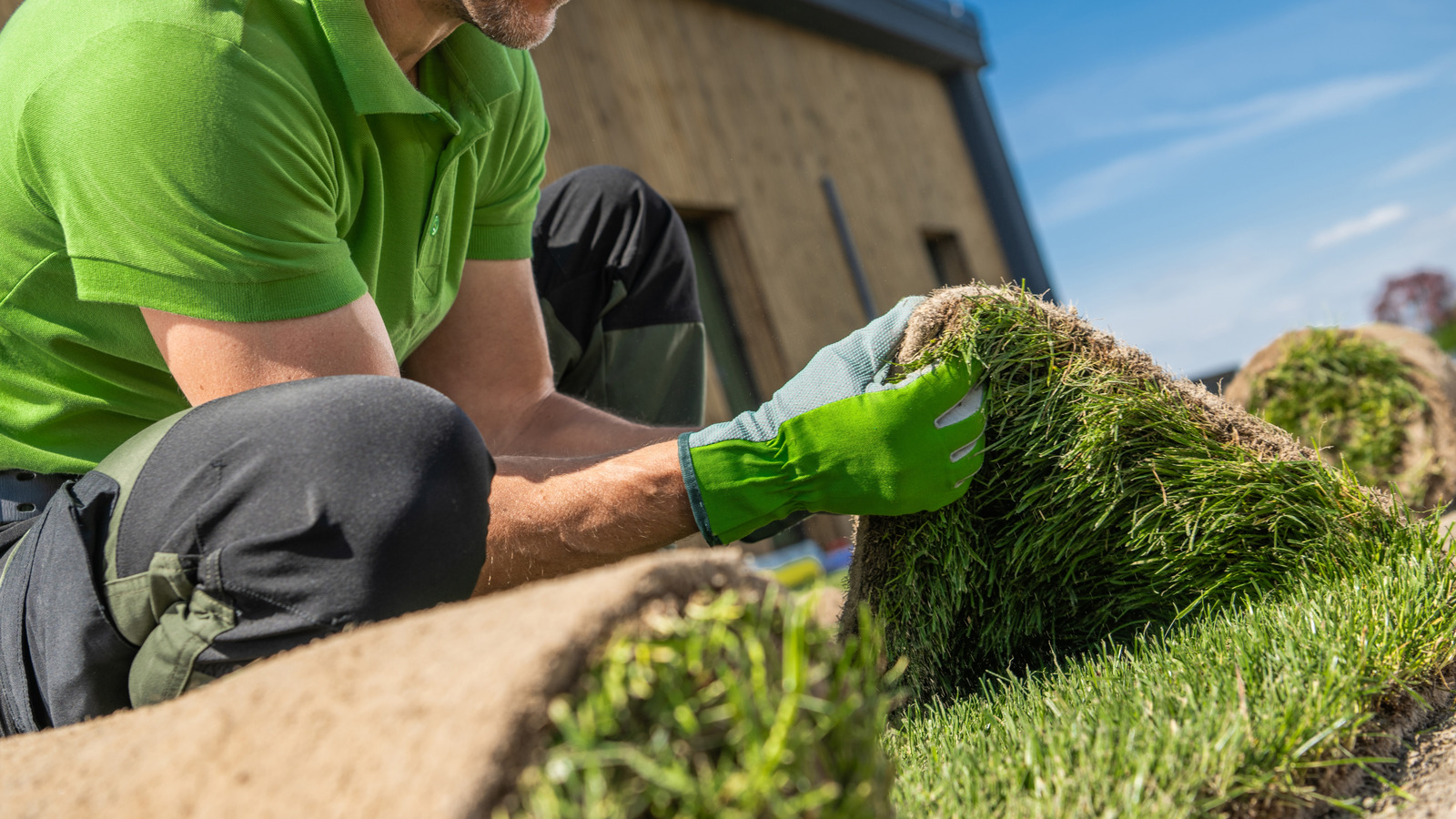 Denver yerlilerinin Colorado'nun Çim Değiştirme Programı ve Teşvikleri hakkında bilmesi gerekenler