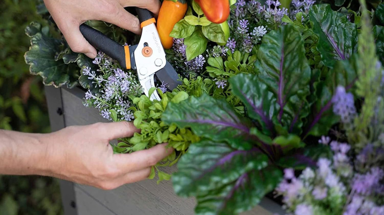 Popüler Costco Yükseltilmiş Bahçe Yatağı Bazı alışveriş yapanlar satın almaktan uzak durma konusunda uyarıyor