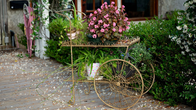 Pembe çiçekler ve yeşillik gösteren vintage çiçek arabası