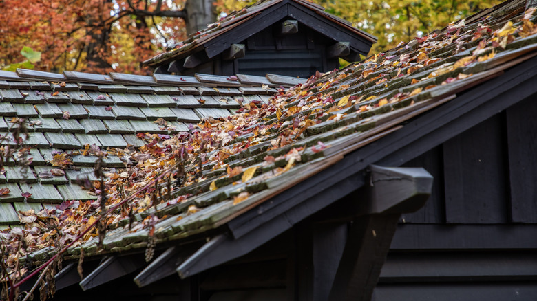 Bir ev çatıda sonbahar yaprakları olan yağmur olukları olmayan durur.