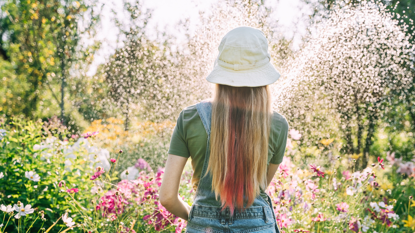 Bitkilerinizin bir ısı dalgası hayatta kalmasını istiyorsanız, asla yaygın bir sulama hatası yapmayın
