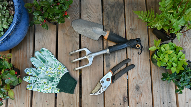 Elde taşınır bahçe araçları