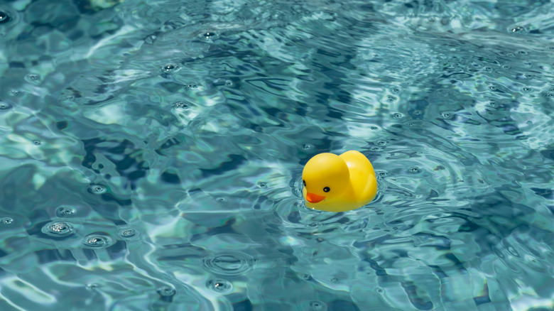 Havuzda yüzen lastik ördek