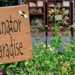 Isı içinde gelişen bir tozlayıcı magnet bitkisi ile kelebek ve arı çekin