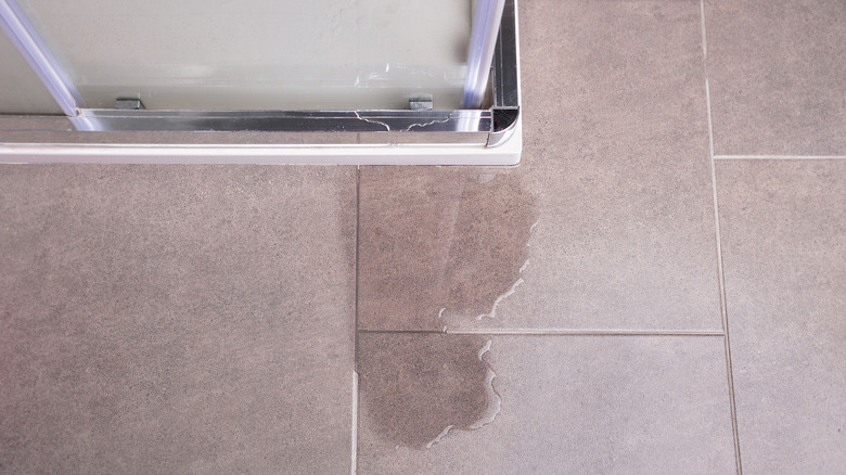 Fayans zemine su sızan cam duş kapısı