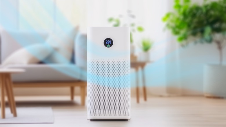 Oturma odasında hava temizleyici